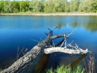 Сегодняшняя рыбалка... (фото #25312)