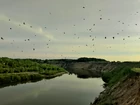 Снова удалось... (фото #25436)