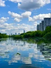 Продолжаем осваивать... (фото #25783)