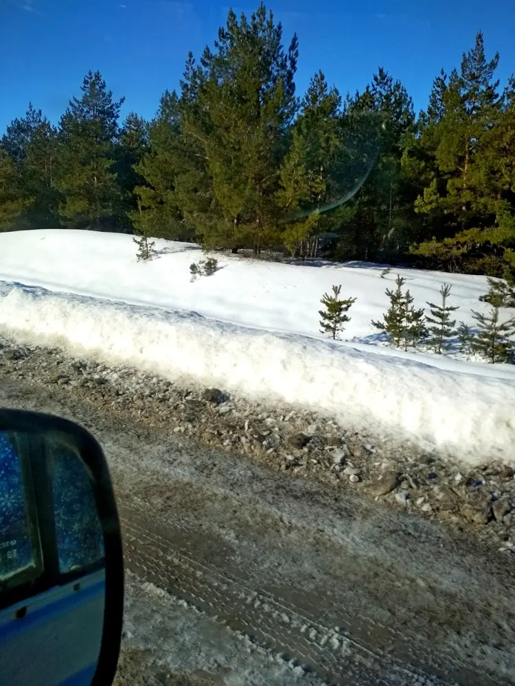 Снега в этом году выпало немало.