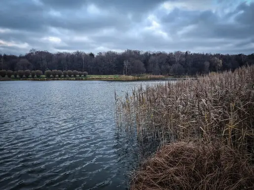 Хмуро снаружи, весело внутри.