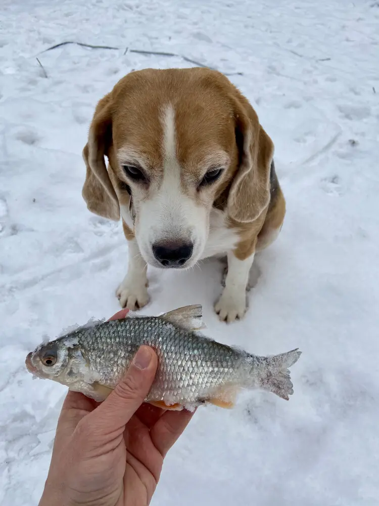 Ходим бродим как обычно и практикуемся в мормо