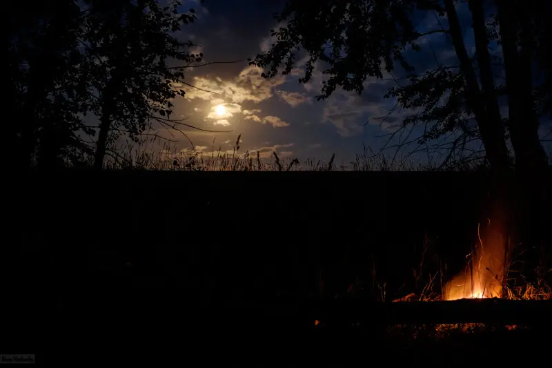Прохладная июльская ночь под луной, что может быть лучше после дневного зноя?