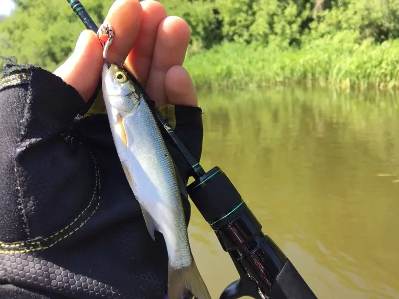 Air, SV Lures