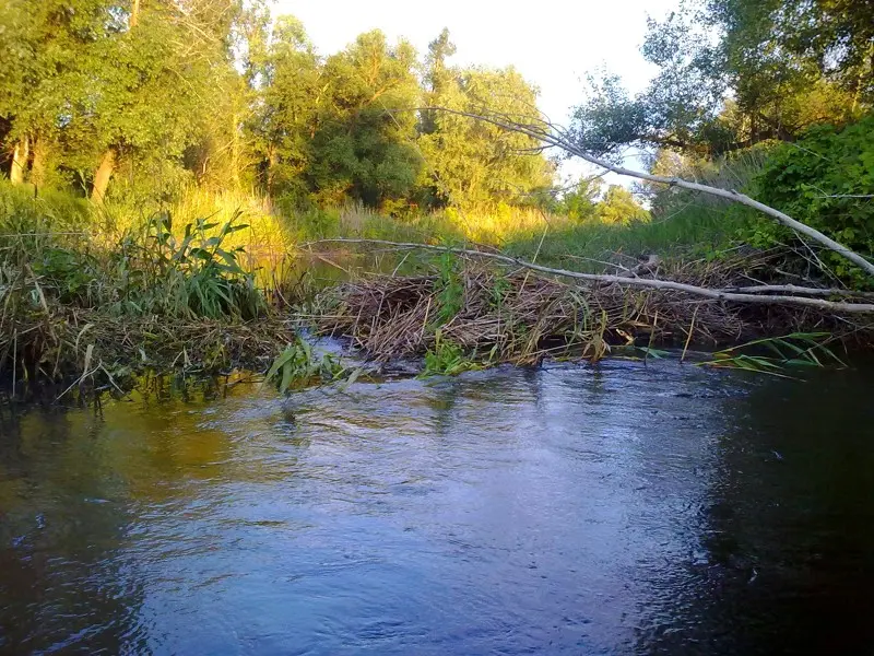 За плотиной перепад уровней воды и приличное течение. По моим расчётам, здесь должна быть и щука...