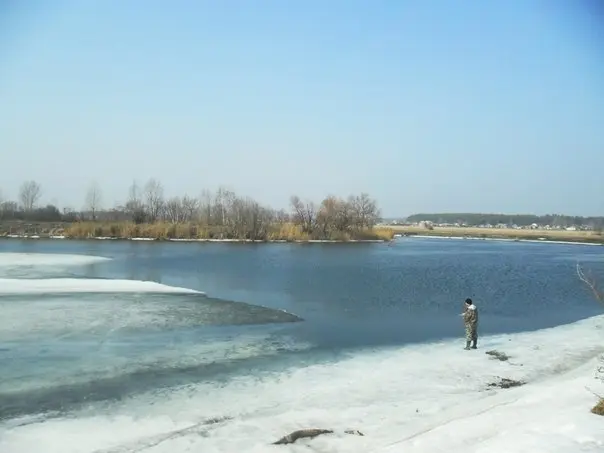 И вот тут меня осиняет: надо обловить границу льда и воды. Ранней весною щука любит держаться в...