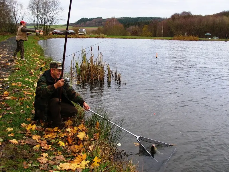 Рыбалка на платниках в Германии