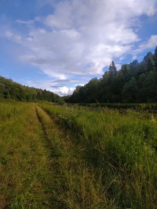 На малую речку в разгар лета